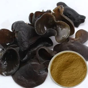 Black fungus powder