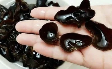 Black Fungus Powder,