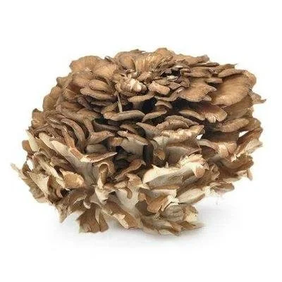 Grifola Frondosa Extract