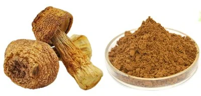 Agaricus Blazei Powder