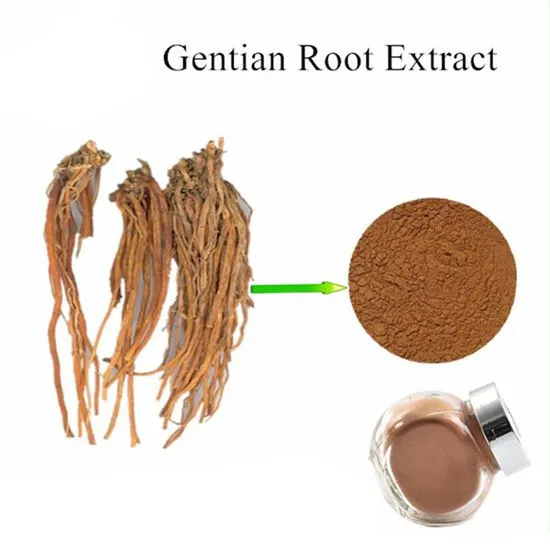 Gentiana extract