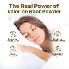 Therapeutic Benefits of Compounds in Valerian Extract Powder