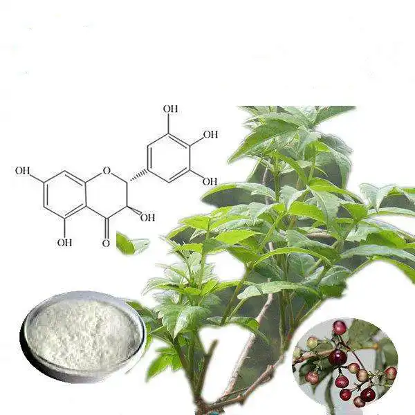 How does DHM work as a hangover remedy?