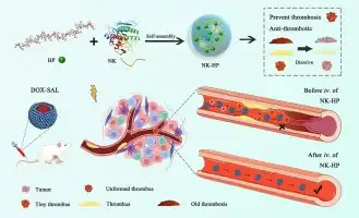 Can nattokinase powder be taken with other medications?