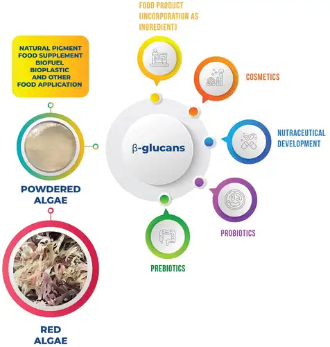 How is yeast beta glucan powder used?