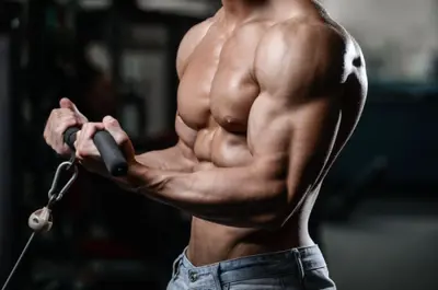 Creatine Monohydrate vs. Other Creatine Types