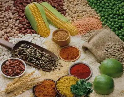 Nattokinase Powder: Natural Clot-Busting Solution