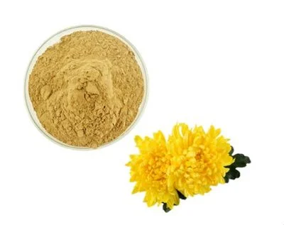 Bulk Inulin Powder for Weight Management