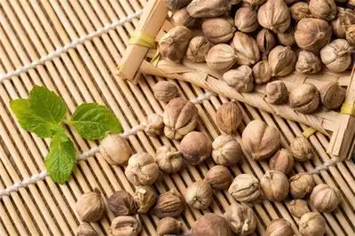 What are the Health Benefits of Cardamom Extract?