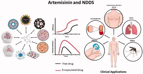 What is Artemisinin Powder Used For?