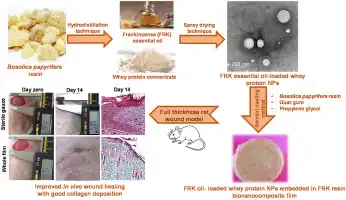 What are the Uses of Frankincense Extract Powder in Cosmetics?