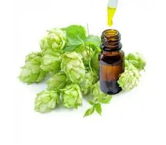 What are the Health Benefits of Hop Extract?