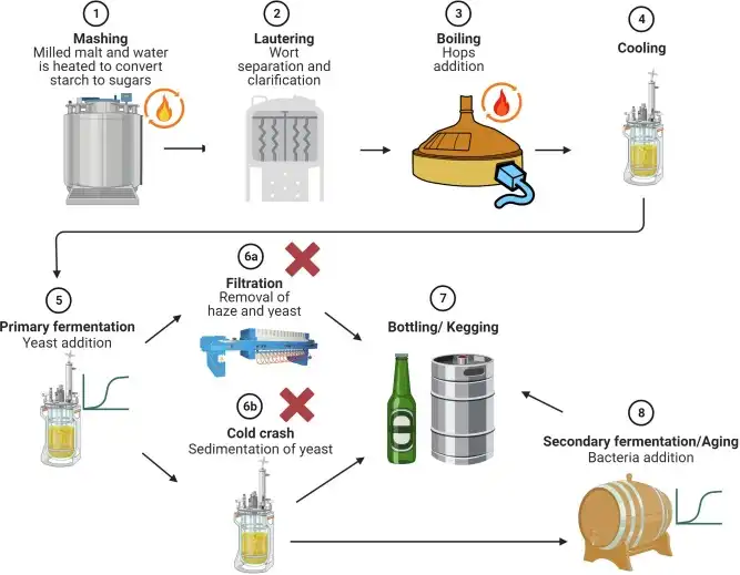 What are the benefits of using hop extract over traditional hop pellets or whole cones?