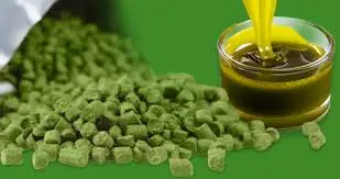 Do hop extracts affect beer flavor differently than traditional hops?