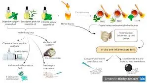 Can artemisinin powder be used for conditions other than malaria?