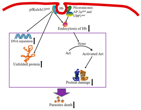 Can artemisinin be used for conditions other than malaria?