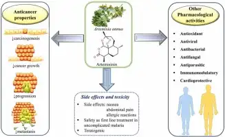 Are there any precautions when using artemisinin powder?